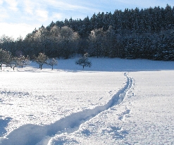 Winter